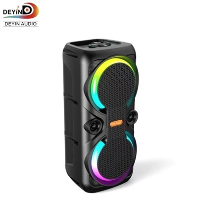 Subwoofer dual de 6 polzades de 10 W Sistema d'àudio exterior Tub de baix Altaveu Bluetooth estèreo Altaveus personalitzats per a festes amb micròfon